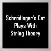 Schrodinger's Cat Plays With String Theory