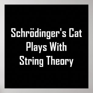 Schrodinger's Cat Plays With String Theory Poster