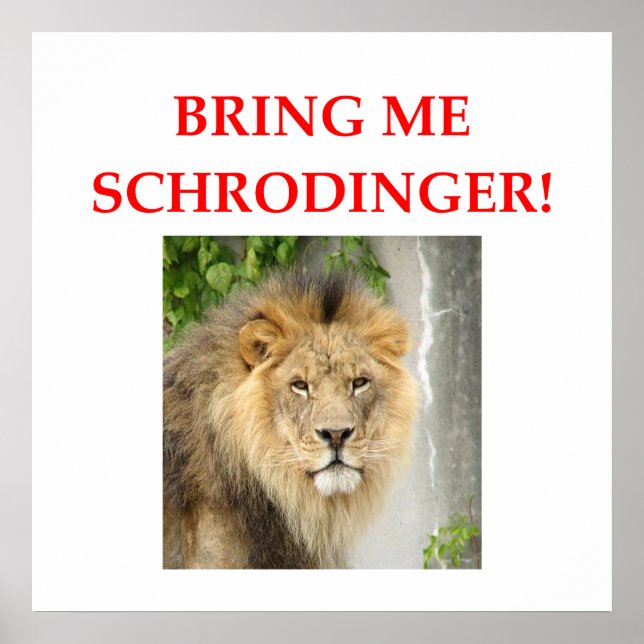 schrodinger's cat poster (Front)