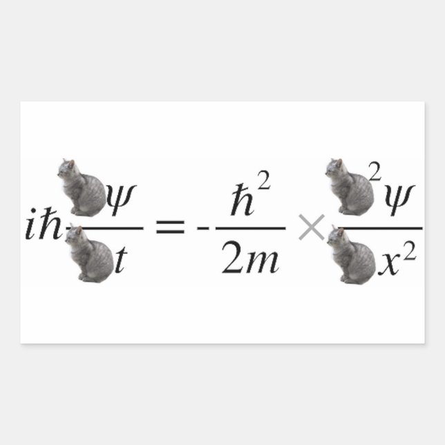 Schrodinger's cat rectangular sticker (Front)