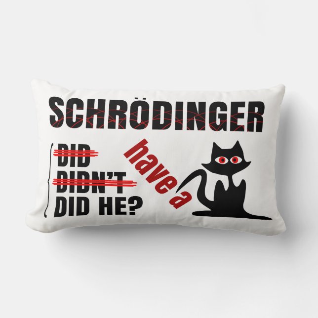 Schrodinger's Dillema Lumbar Cushion (Front)
