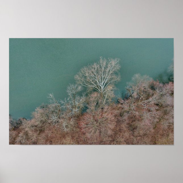 Schuylkill River Trees Sanatoga Poster (Front)