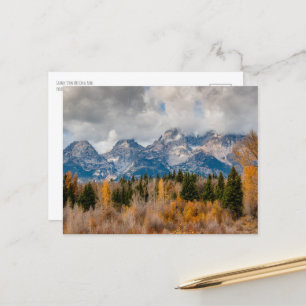 Schwabacher Landing Grand Teton National Park Postcard