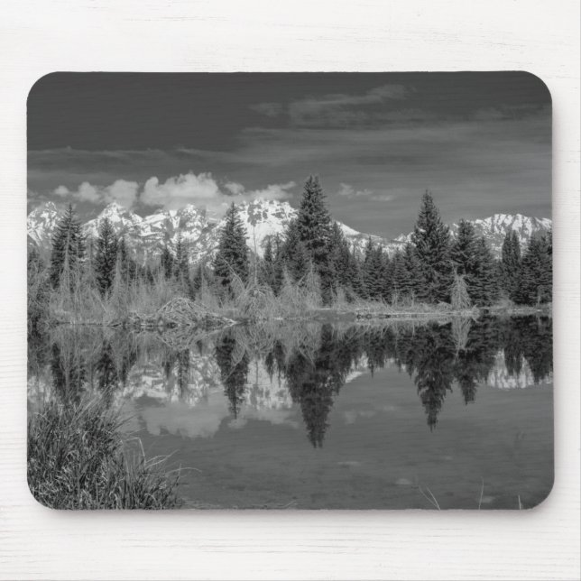 Schwabacher Landing Mouse Pad (Front)