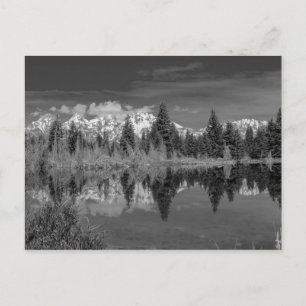 Schwabacher Landing Postcard
