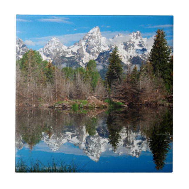 Schwabacher's Landing, Grand Teton Ceramic Tile (Front)