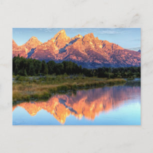 Schwabacher's Landing Postcard