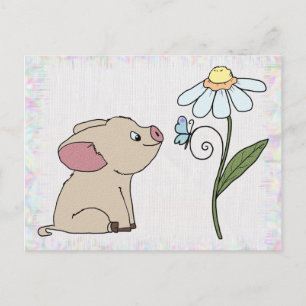 Schweinchen mit Blume Postcard