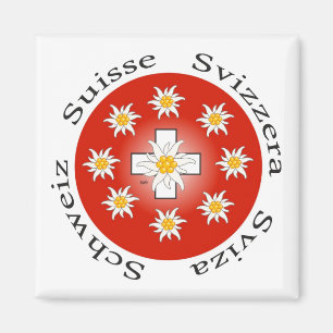 Schweiz Suisse Svizzera Svizra Switzerland Magnet