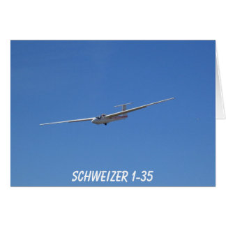 Schweizer 1-35 glider