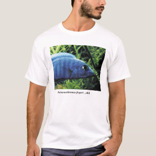 sciaenochromis fryeri , ahli T-Shirt