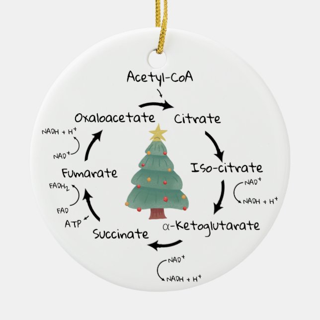 Science Biology Kreb's Cycle Christmas Teacher Ceramic Ornament (Front)