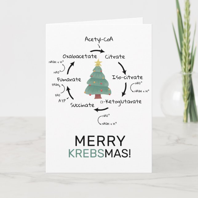 Science Biology Kreb's Cycle Christmas Teacher  Holiday Card (Front)