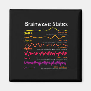 Science Brain Waves Definition Neuroscience School Magnet