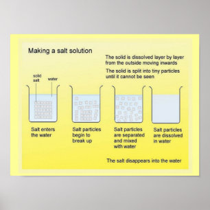 Science, Chemistry, Making a salt solution Poster