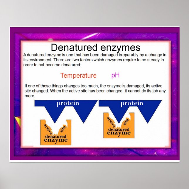 Science, Digestion,Denatured Enzymes Poster (Front)