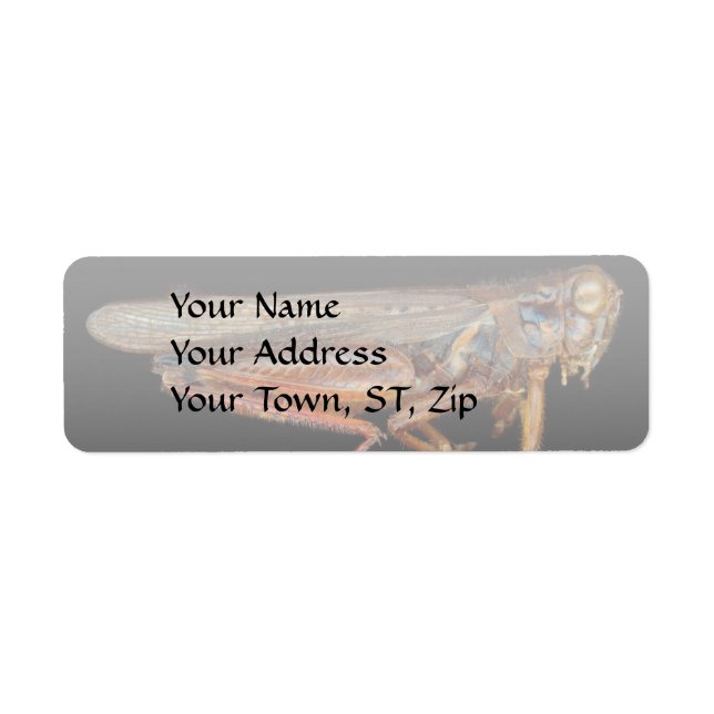 Science - Entomology - The specimin Return Address Label (Front)