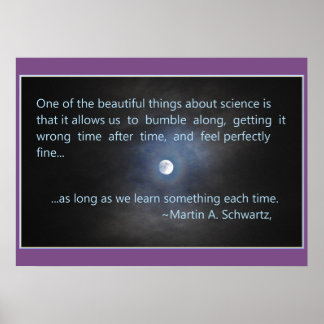 Science is about Bumbling Along! Poster