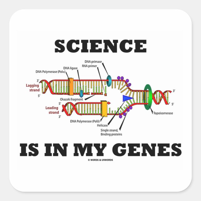 Science Is In My Genes (DNA Replication) Square Sticker (Front)