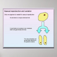 Science, Life Science Asexual reproduction