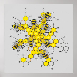 Science of honey and bees| gift for bee lover poster