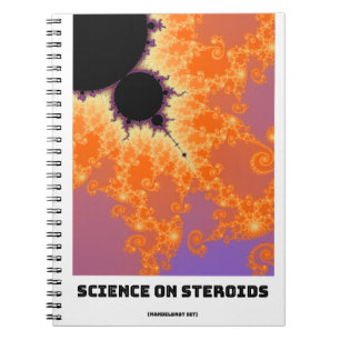 Science On Steroids Mandelbrot Fractal Notebook