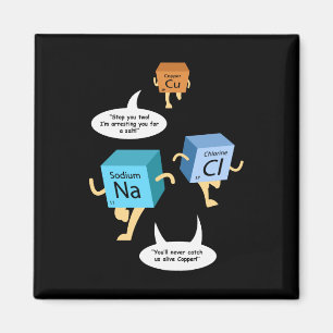Science Teacher Geek Gag Magnet