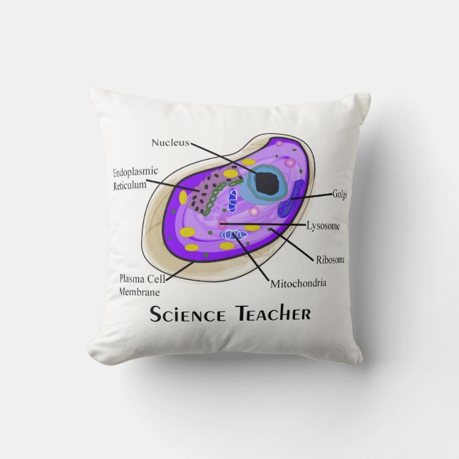 Science Teacher Pillow Human Cell Anatomy (Front)