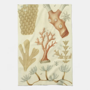 Science Textbook Biology, Vintage Coral Animals Tea Towel