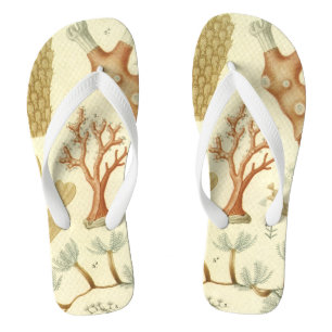 Science Textbook Biology, Vintage Coral Animals Thongs