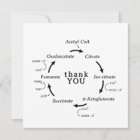 Science Thank You Teacher Kreb's Cycle Biology 
