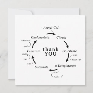 Science Thank You Teacher Kreb's Cycle Biology 