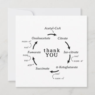 Science Thank You Teacher Kreb's Cycle Biology