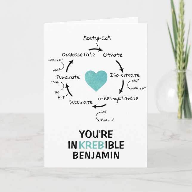 Science Valentine Kreb's Cycle Biology Heart Holiday Card (Front)