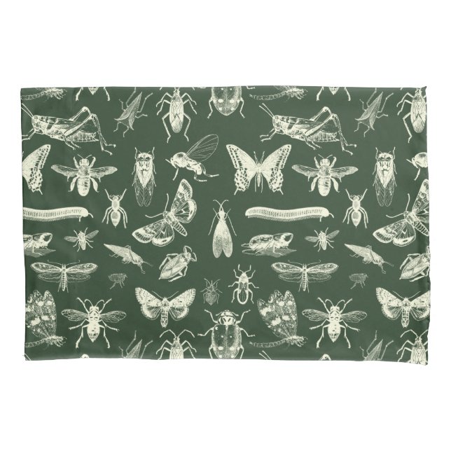 Scientific Antique Bugs Insects Cream and Green Pillowcase (Front)