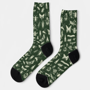 Scientific Antique Bugs Insects Cream and Green Socks