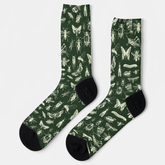 Scientific Antique Bugs Insects Cream and Green Socks (Left)