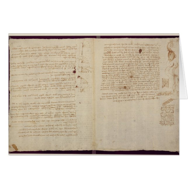 Scientific diagrams (Front Horizontal)