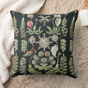 Scientific Nature Art Ernst Haeckel Liverworts Cushion
