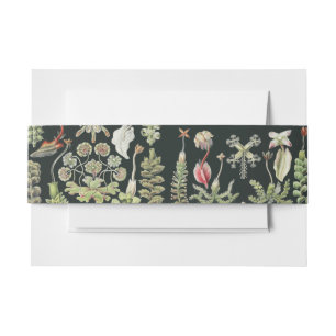 Scientific Nature Art Ernst Haeckel Liverworts Invitation Belly Band