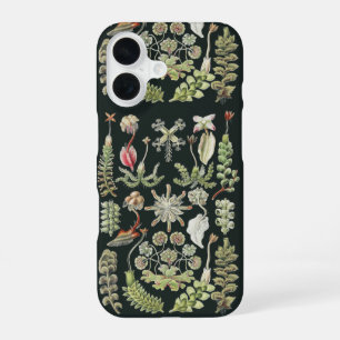 Scientific Nature Art Ernst Haeckel Liverworts iPhone 16 Case