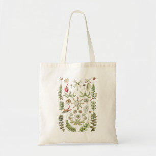 Scientific Nature Art Ernst Haeckel Liverworts Tote Bag