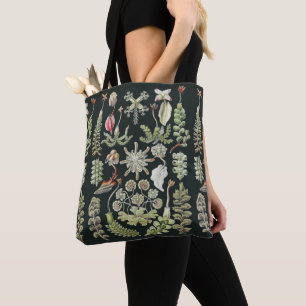 Scientific Nature Art Ernst Haeckel Liverworts Tote Bag