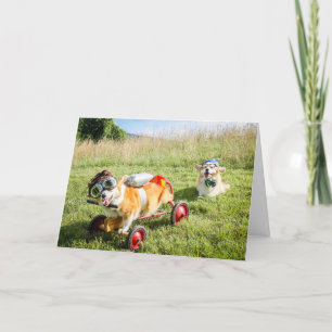 Scientist Corgis on a Hill birthday card
