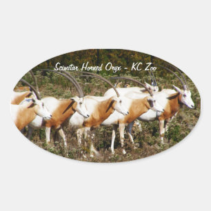 Scimitar Horned Oryxes stickers