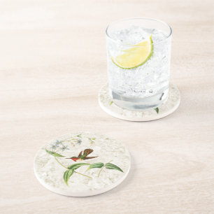 Scintillant Hummingbird Sandstone Coaster