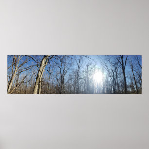 Scioto Grove Metro Park, Grove City, Ohio Poster