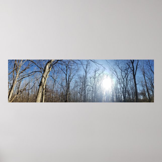 Scioto Grove Metro Park, Grove City, Ohio Poster (Front)