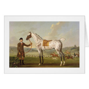 Scipio, Colonel Roche's Spotted Hunter, c.1750 (oi
