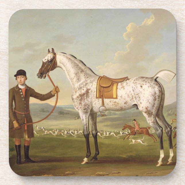 Scipio, Colonel Roche's Spotted Hunter, c.1750 (oi Coaster (Front)